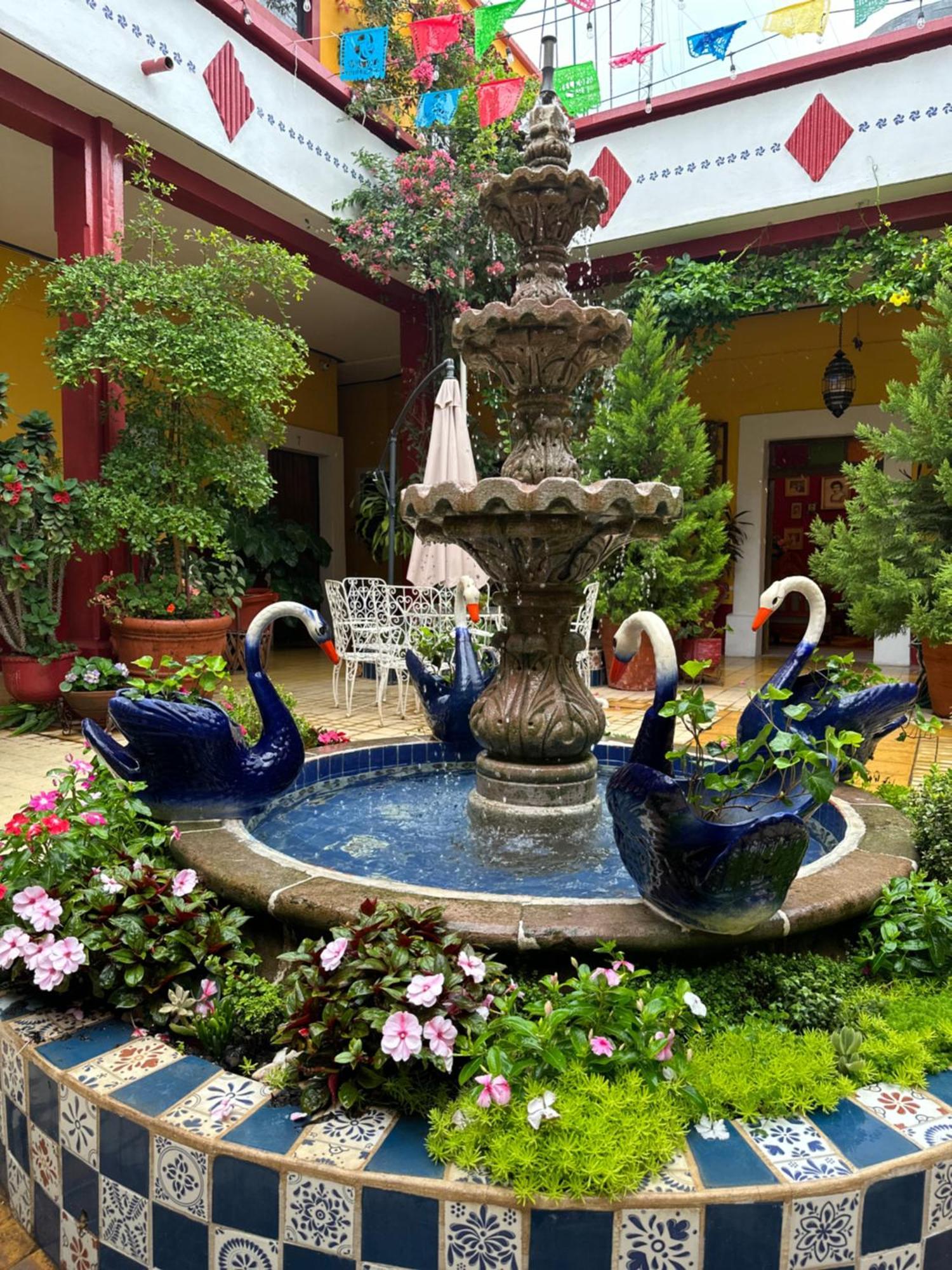 Copa De Oro Hotel Boutique Mascota Exterior photo
