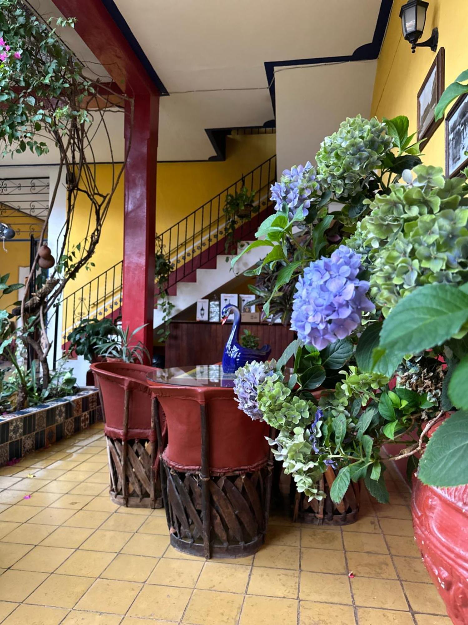 Copa De Oro Hotel Boutique Mascota Exterior photo
