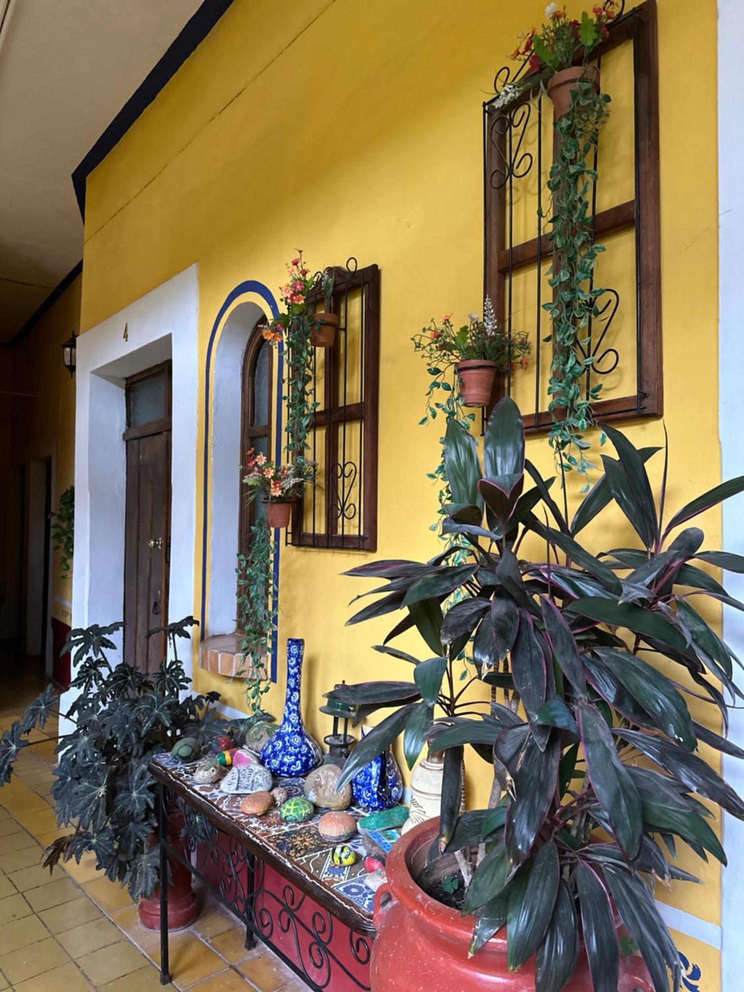 Copa De Oro Hotel Boutique Mascota Exterior photo