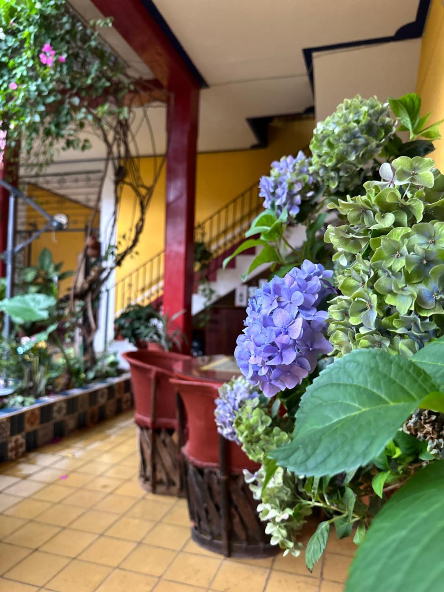 Copa De Oro Hotel Boutique Mascota Exterior photo