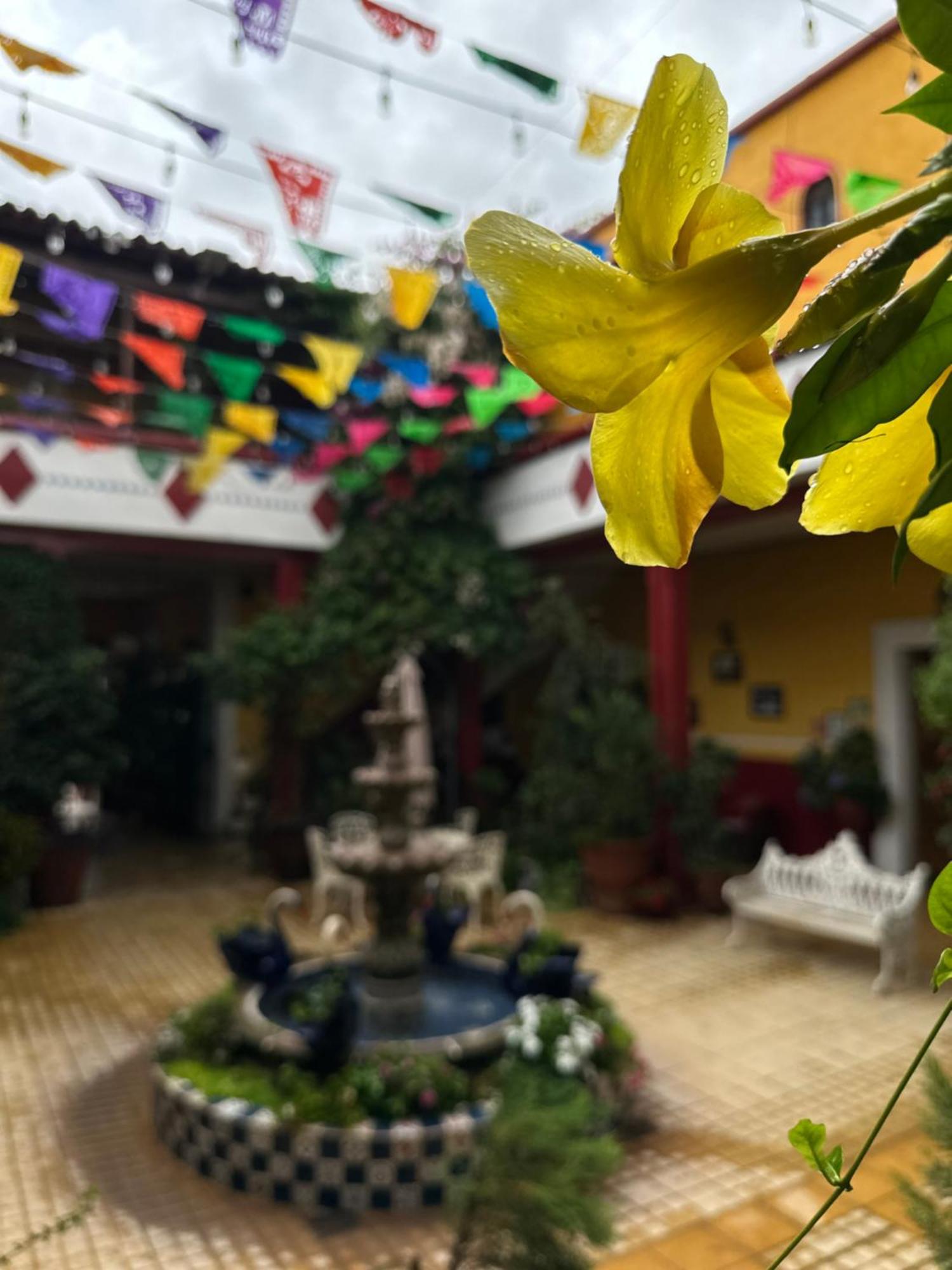 Copa De Oro Hotel Boutique Mascota Exterior photo