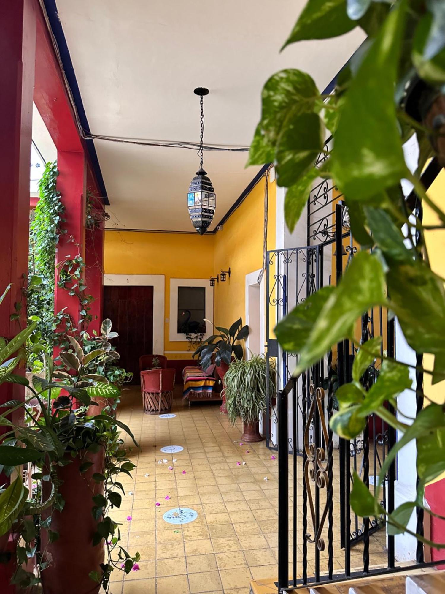 Copa De Oro Hotel Boutique Mascota Exterior photo