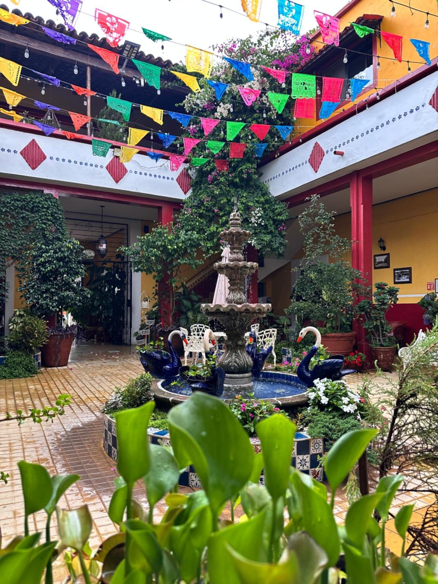 Copa De Oro Hotel Boutique Mascota Exterior photo