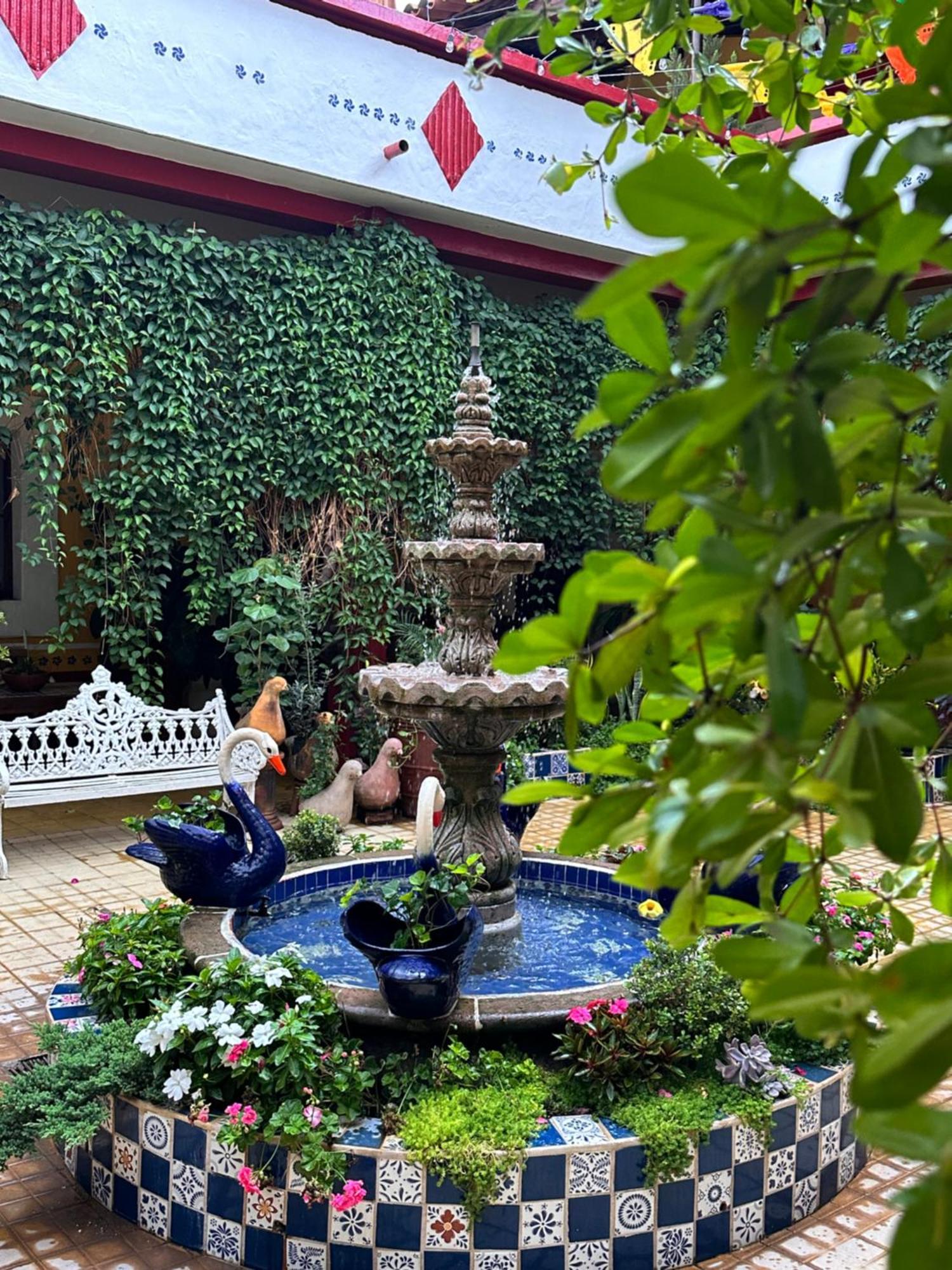 Copa De Oro Hotel Boutique Mascota Exterior photo