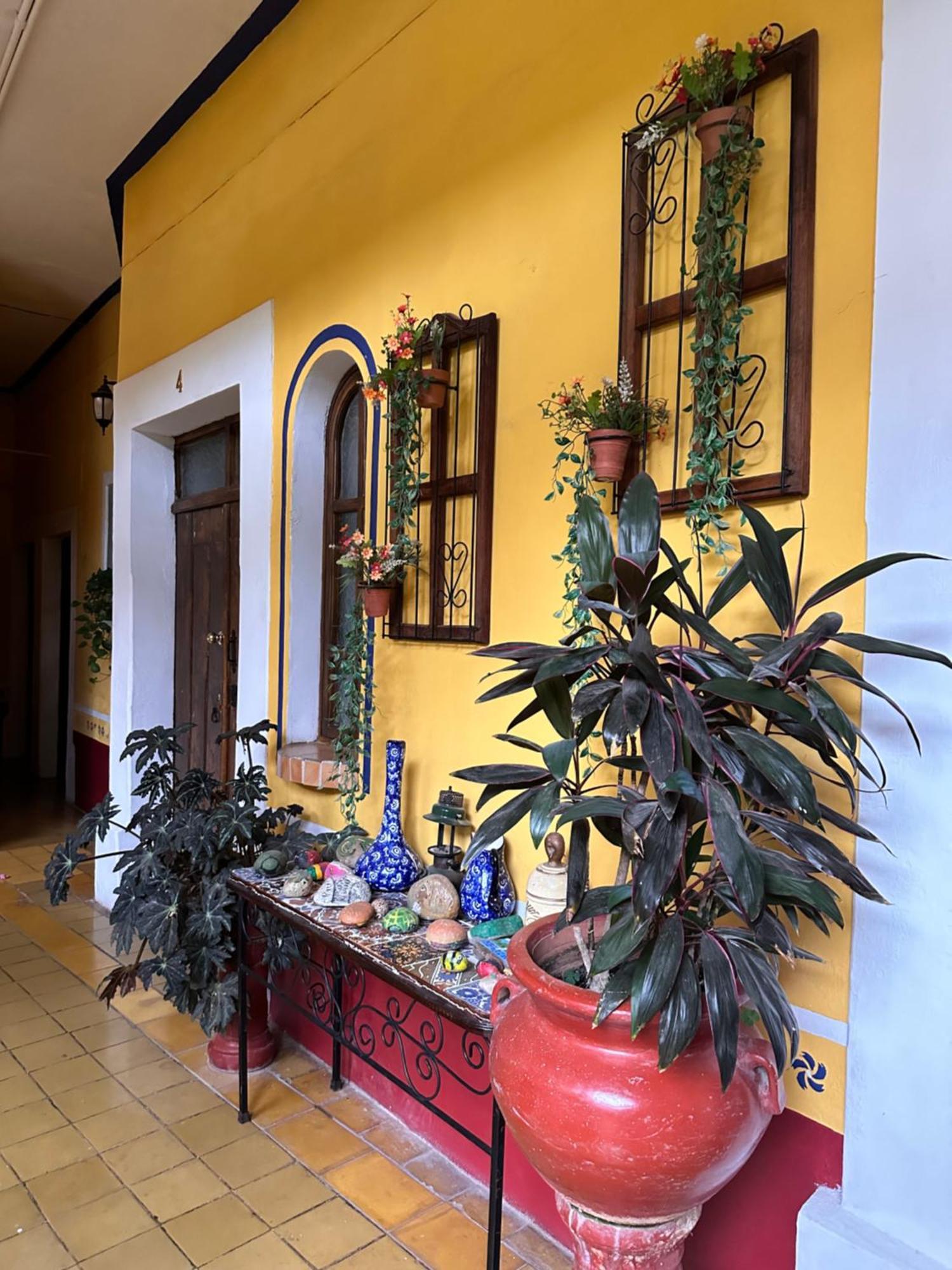 Copa De Oro Hotel Boutique Mascota Exterior photo