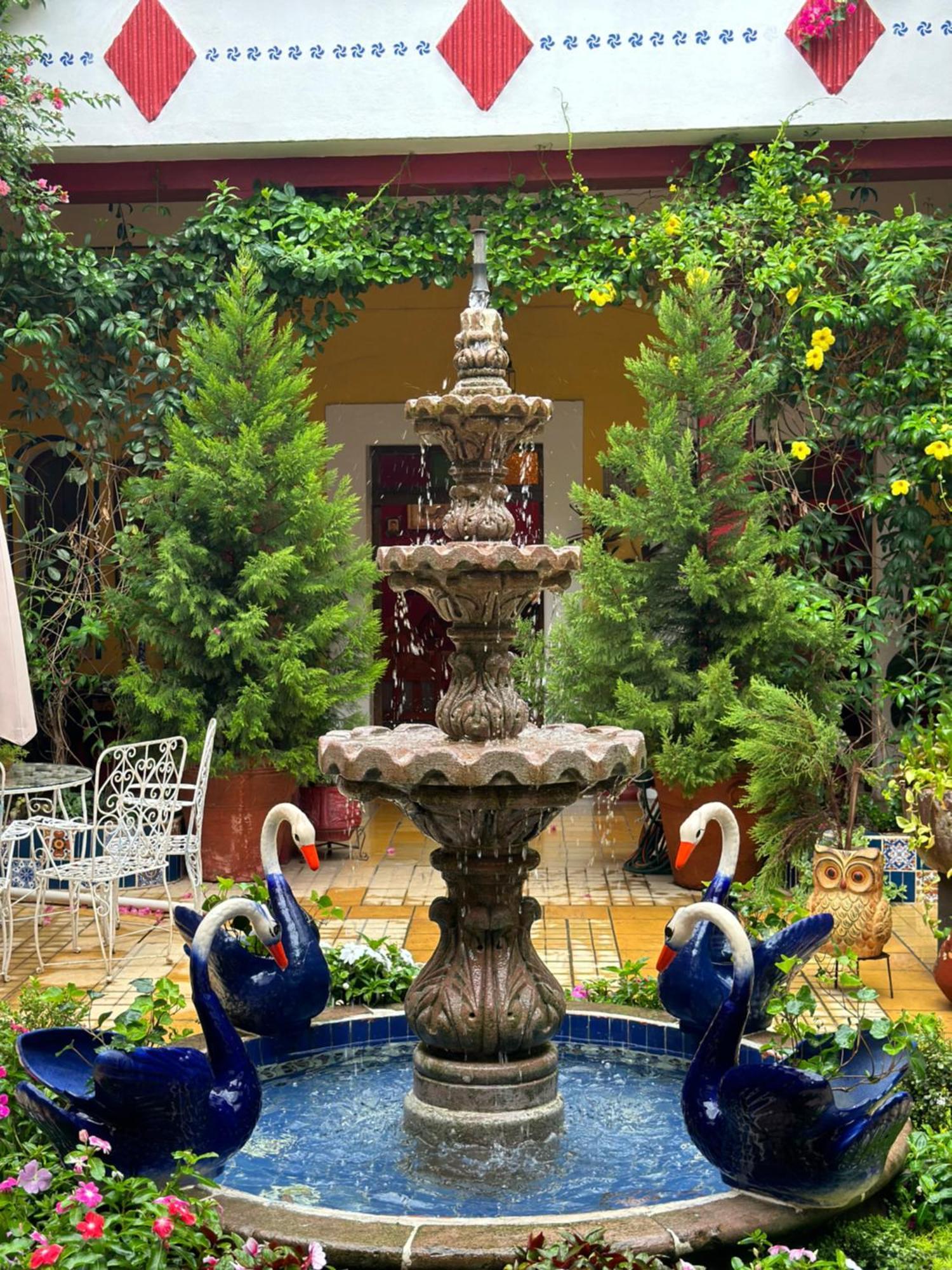 Copa De Oro Hotel Boutique Mascota Exterior photo